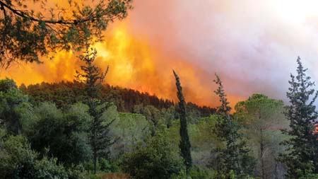 WhatsApp Image 2021-08-16 at 4.33.10 PM.jpeg.jpg